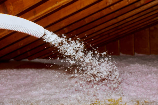 Best Insulation Materials and Products in Sans Souci, SC