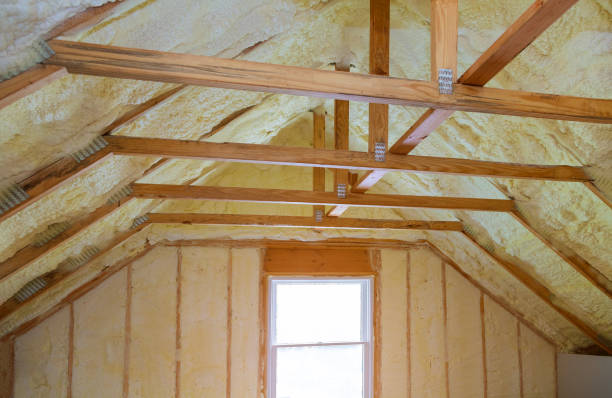 Best Types of Insulation in Sans Souci, SC