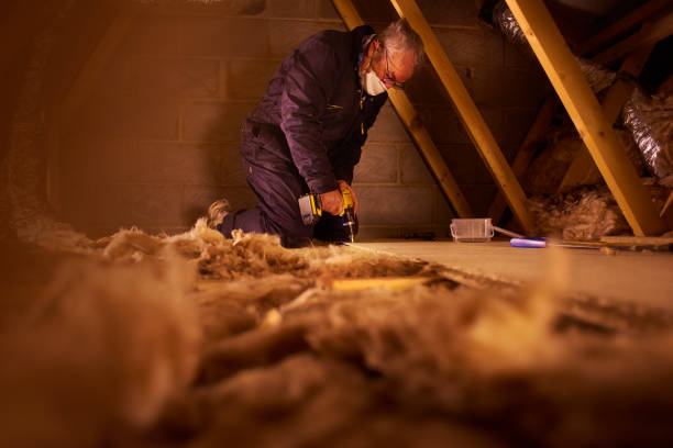 Best Insulation Installation Services in Sans Souci, SC